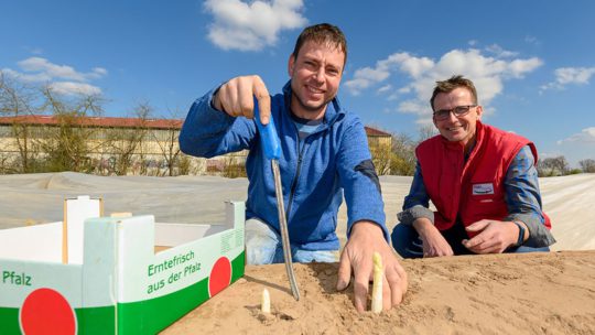 Pfalzmarkt Start Spargelsaison 2019