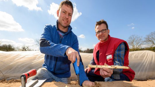 Pfalzmarkt Erntehelfer gesucht