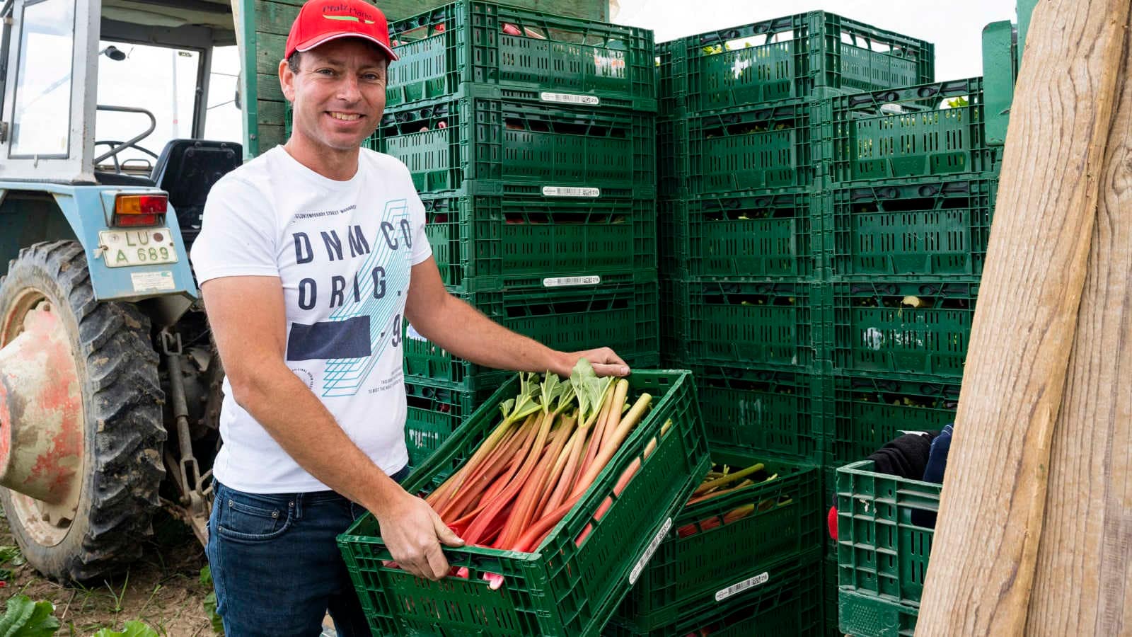 Pfalzmarkt Erntefrisch aus der Pfalz ist gefragt