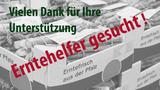 Pfalzmarkt Erntehelfer gesucht