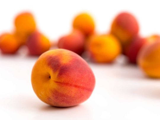 Apricots