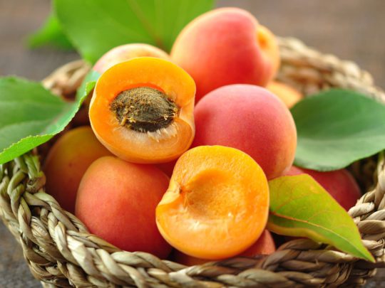 Apricots