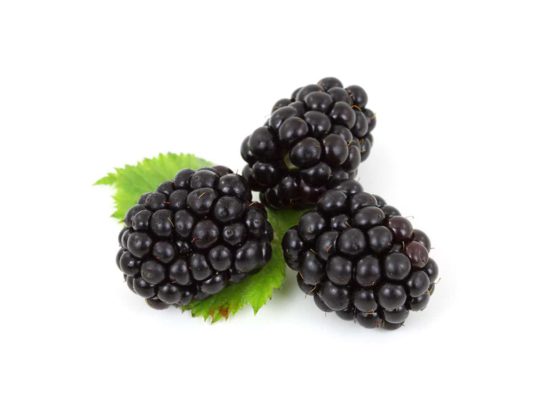 Blackberries