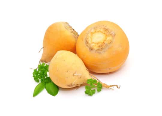 Yellow turnip