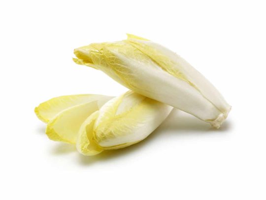 Chicory