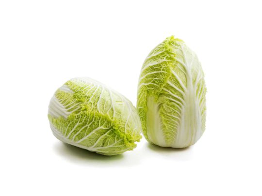 Napa cabbage