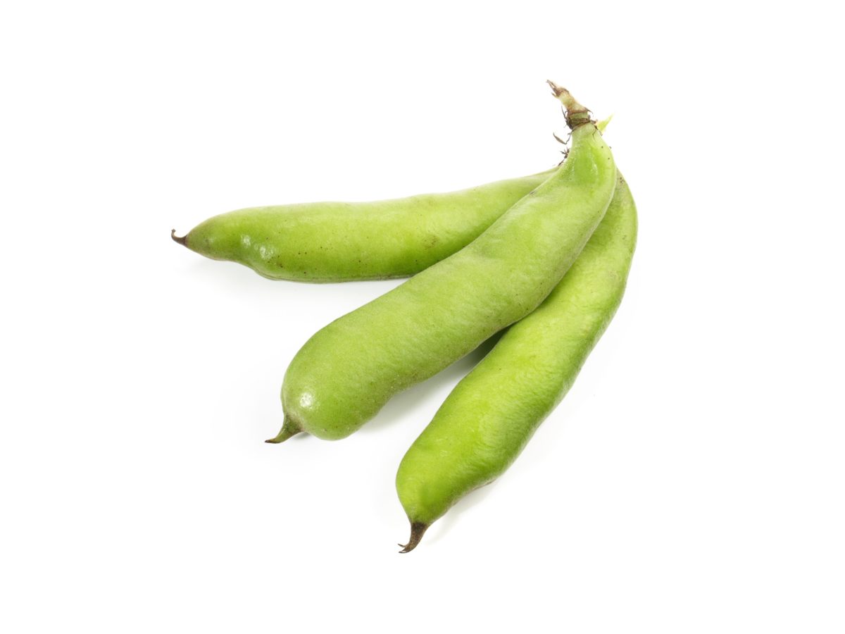 Dicke Bohnen