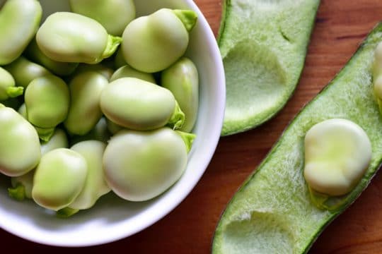 Broad beans