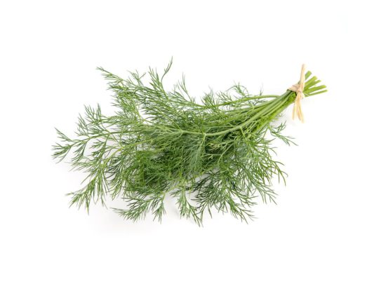 Dill