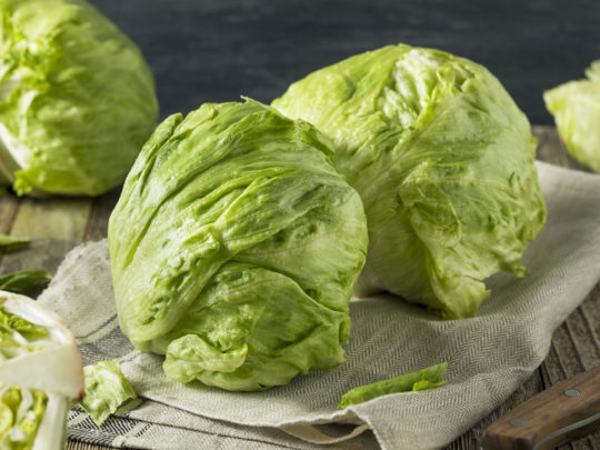 Iceberg lettuce