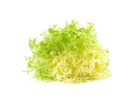 Frisée