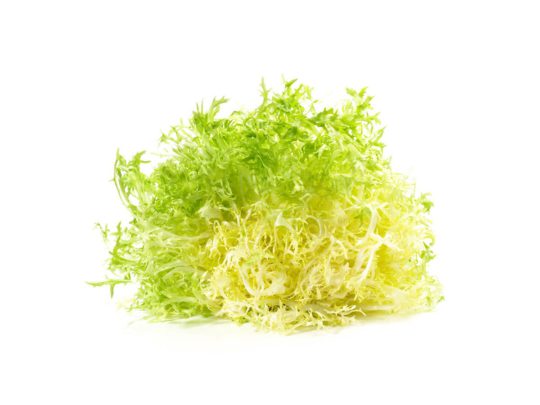 Frisée