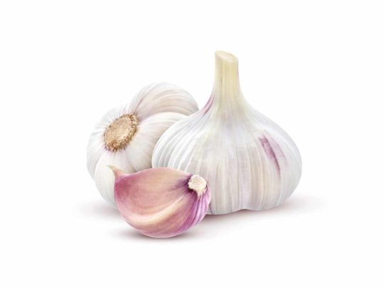 Garlic