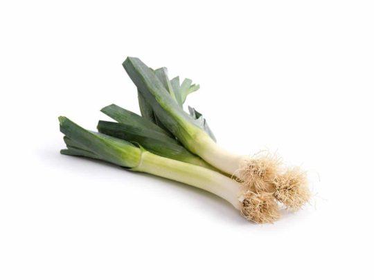 Leek