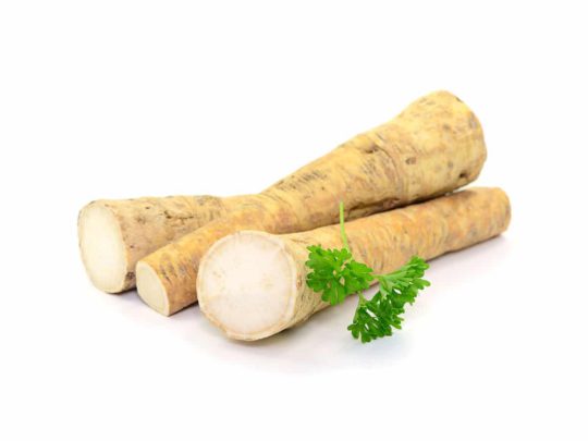 Horseradish