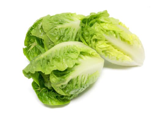 Mini romaine lettuce