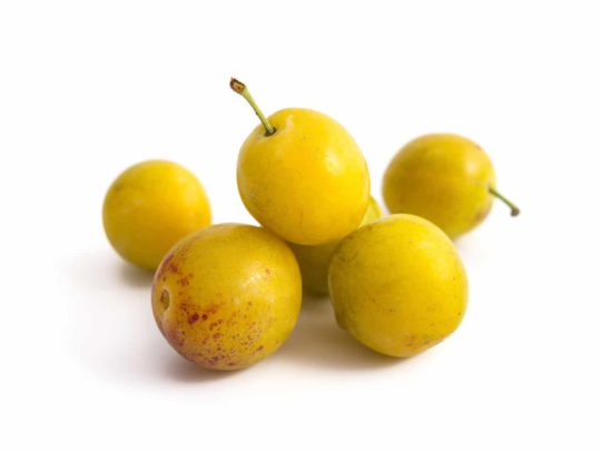 Mirabelle plums