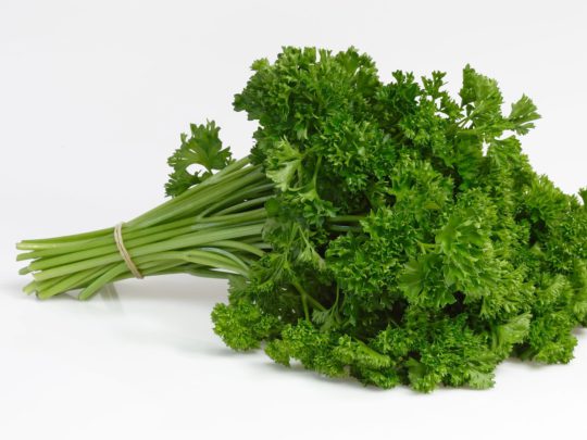 Parsley