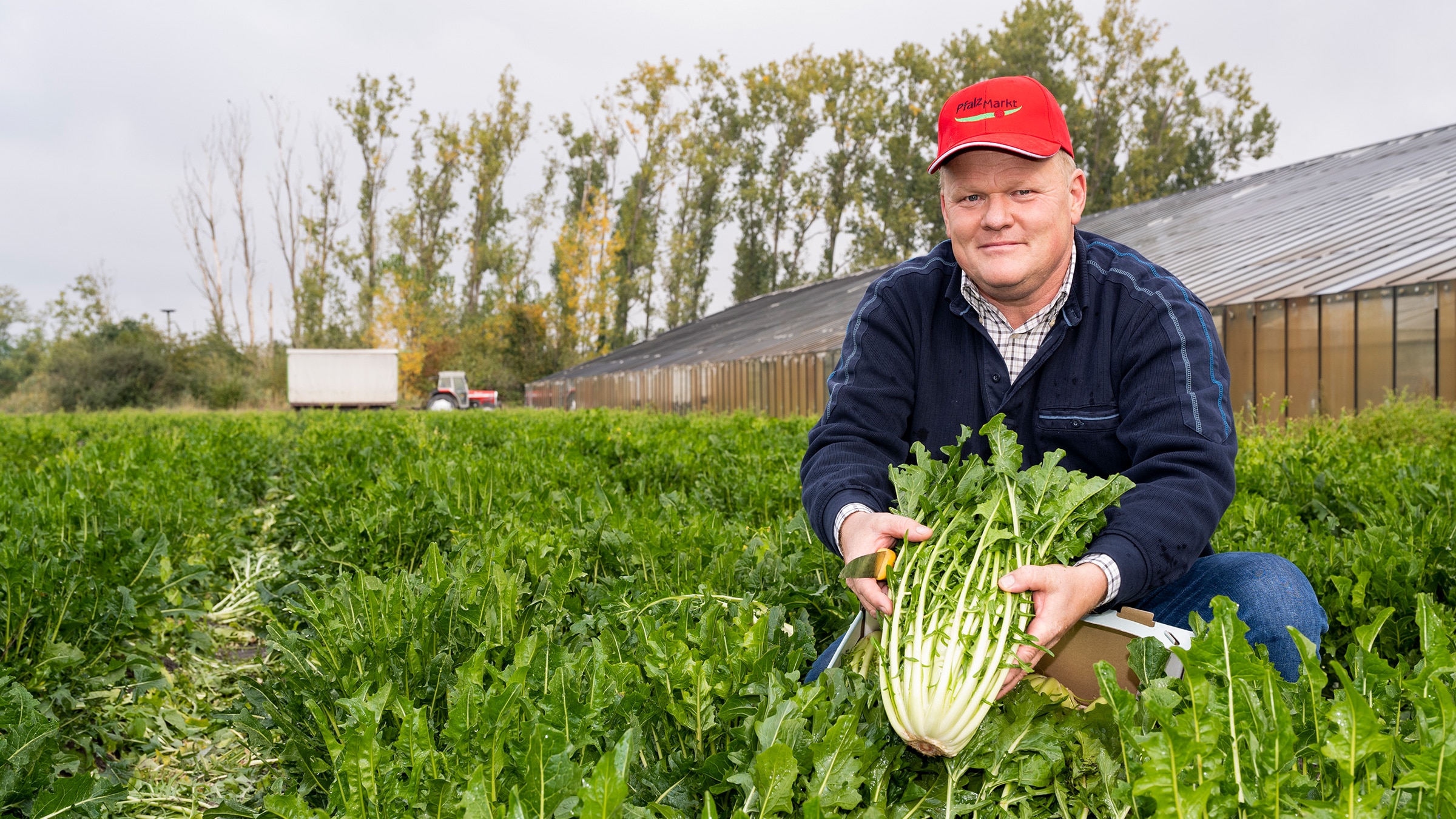 Pfalzmarkt Vulkanspargel