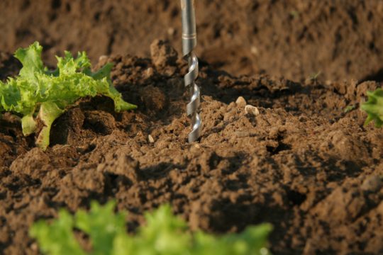 Pfalzmarkt Quality Soil sample