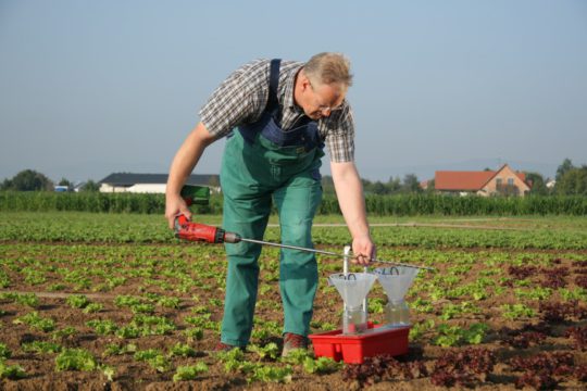 Pfalzmarkt Quality Soil sample