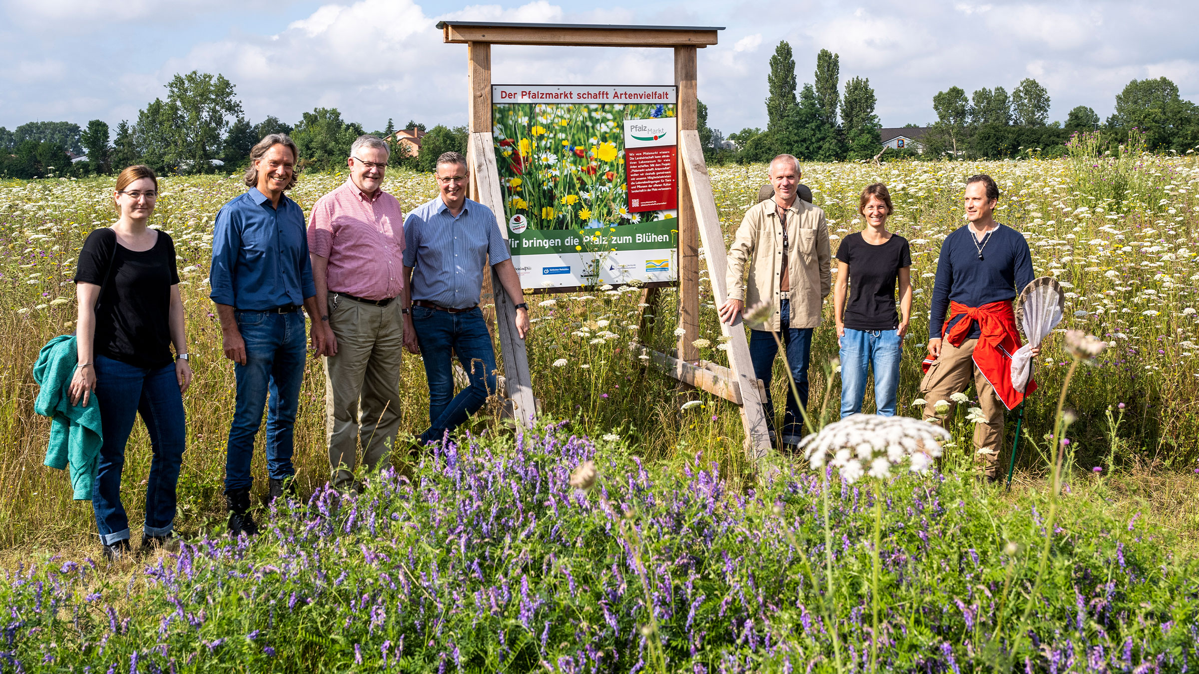 Pfalzmarkt Blühflächen Grubenhummel wiederentdeckt