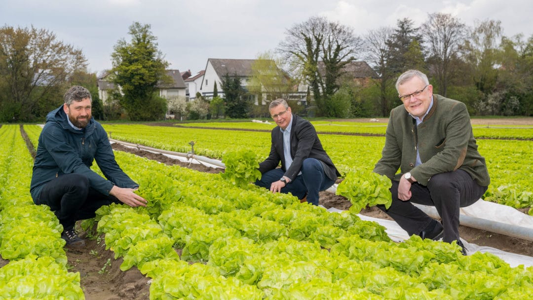 Pfalzmarkt Geschäftsführung Start Frischgemüse Saison 2021