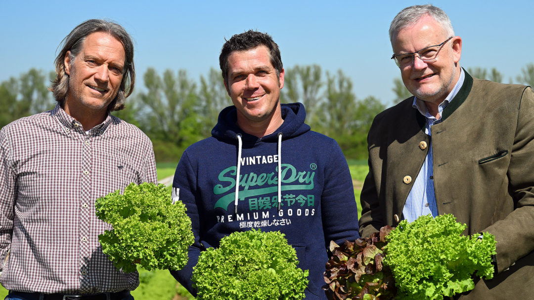 Drei Männer stehen mit Salatköpfen auf einer Anbaufläche. 