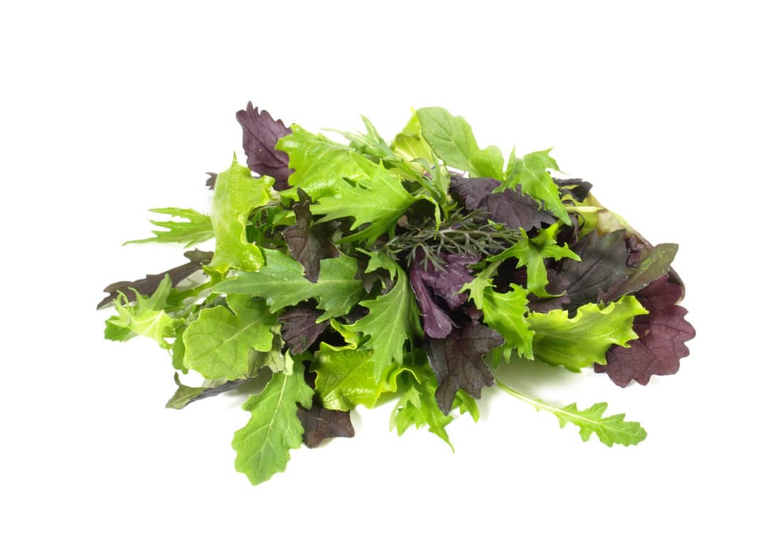 32+ Rucola Und Pflücksalat Zusammen Pflanzen, Tabelle mit guten und