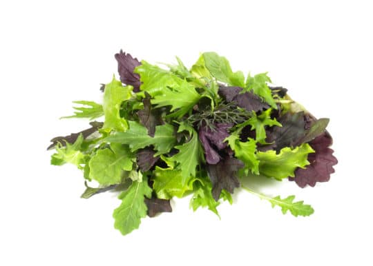 Leaf lettuce