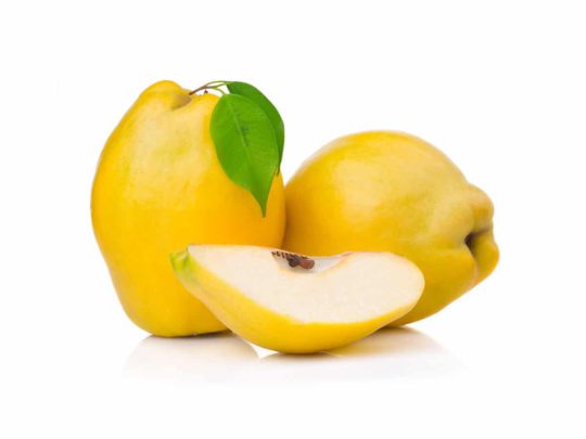 Quitten