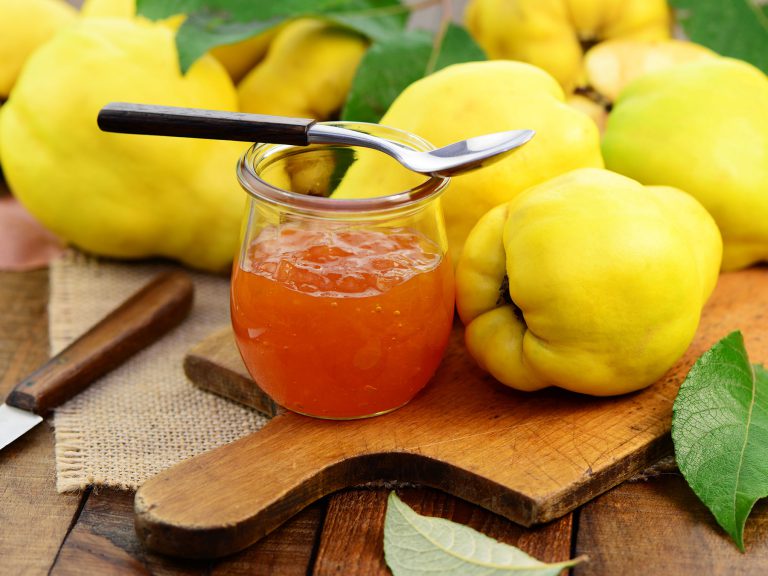 Quinces freshly harvested from the Pfalz region