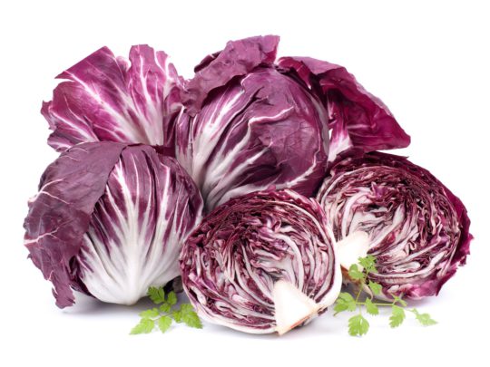 Radicchio