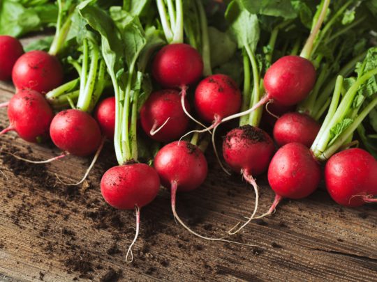 Radishes