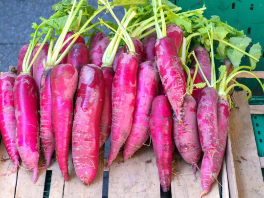 Radish red