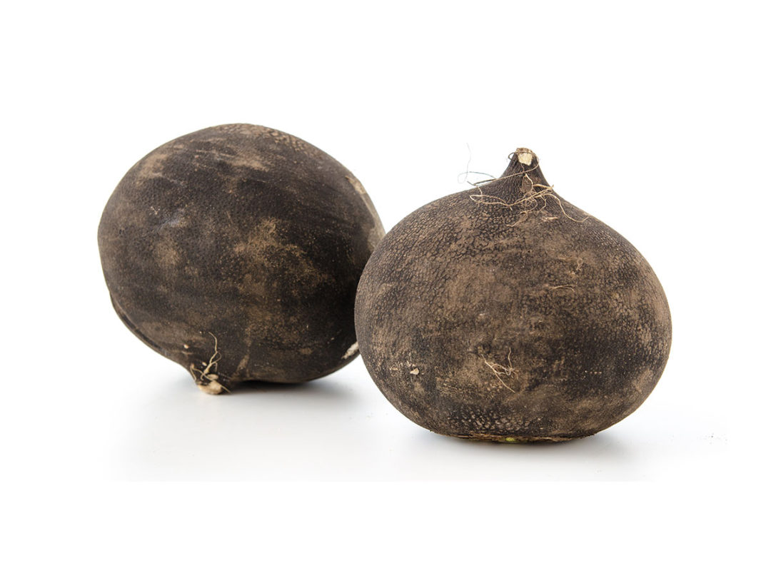 Wurzeln und Knollen | Pfalzmarkt