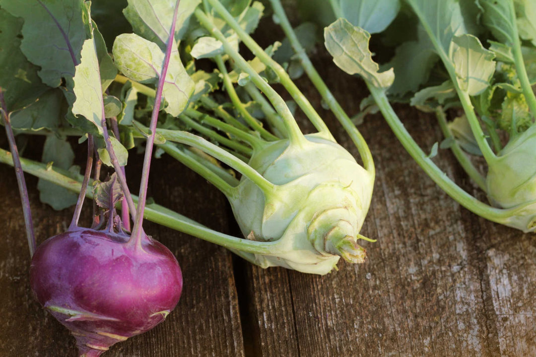 Kohlrabi Carpaccio mit Serranoschinken und gerösteten Sonnenblumenkernen