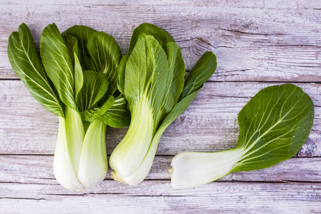 Pak Choi mit Kräuterseitlingen