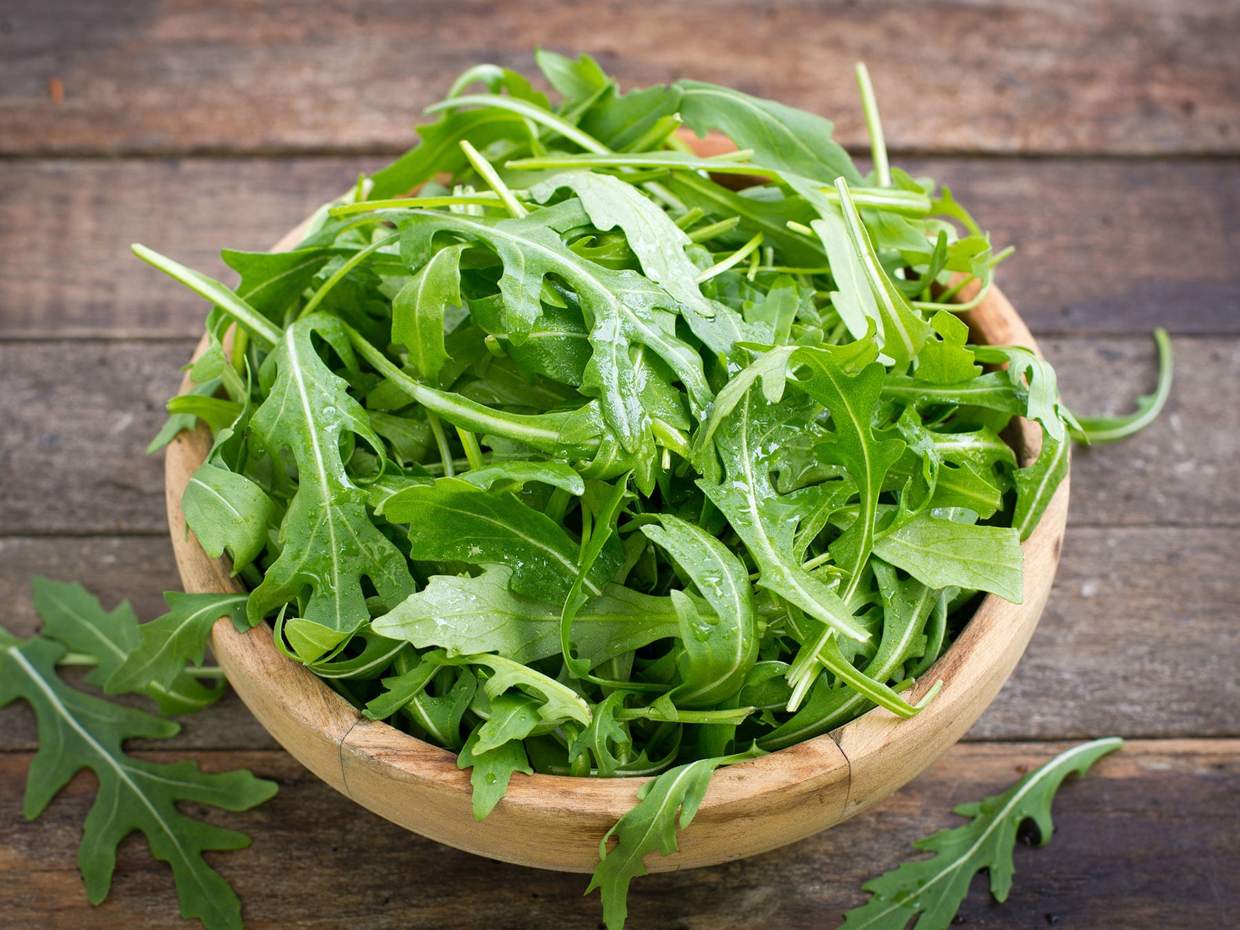 Rucola | Erntefrisch vom Pfalzmarkt