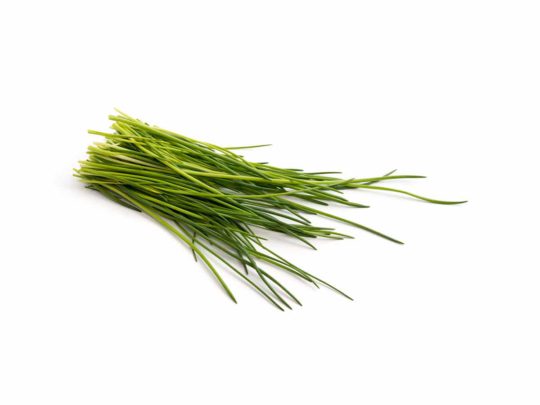 Chives