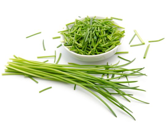 Schnittlauch Erntefrisch Vom Pfalzmarkt