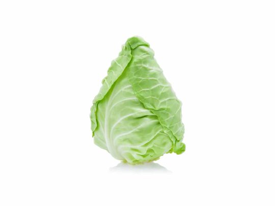 Pointed cabbage