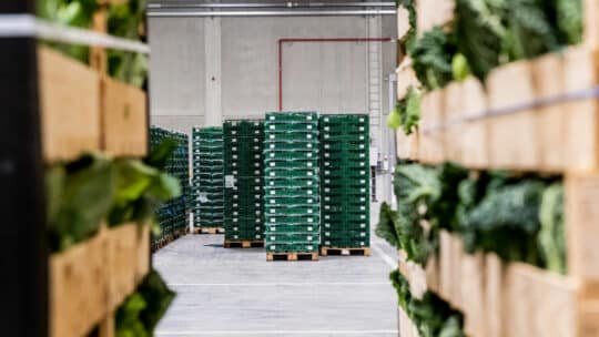 Verpackungen in Halle