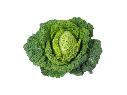 Savoy cabbage